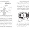 The Secret Life of Lady Liberty: Goddess in the New World - Image 3